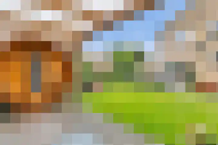 Lege Leane 6 Oudemirdum thumbnail 38