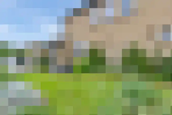 Lege Leane 6 Oudemirdum thumbnail 39