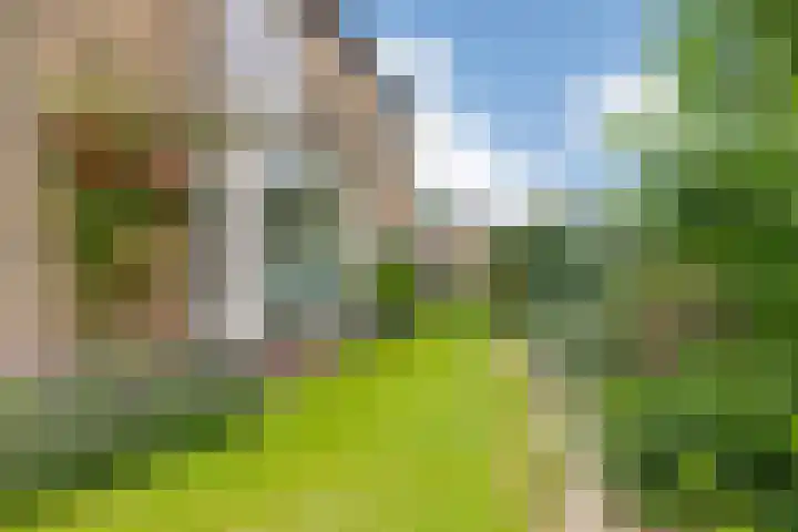 Lege Leane 6 Oudemirdum thumbnail 41