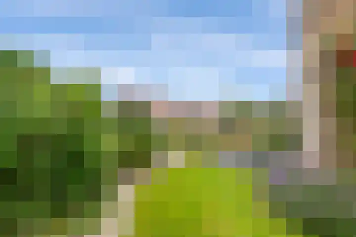 Lege Leane 6 Oudemirdum thumbnail 42