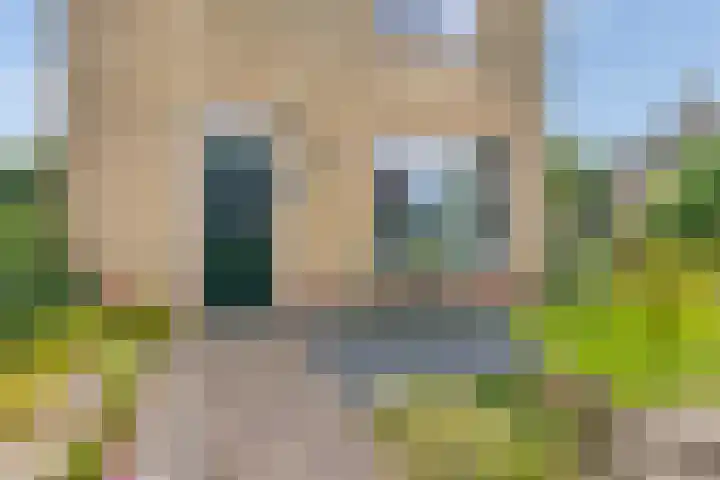Lege Leane 6 Oudemirdum thumbnail 43