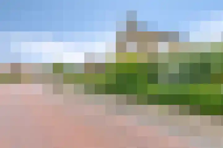 Lege Leane 6 Oudemirdum thumbnail 45