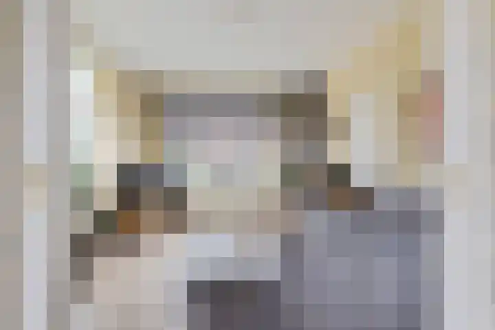 Lege Leane 6 Oudemirdum thumbnail 7