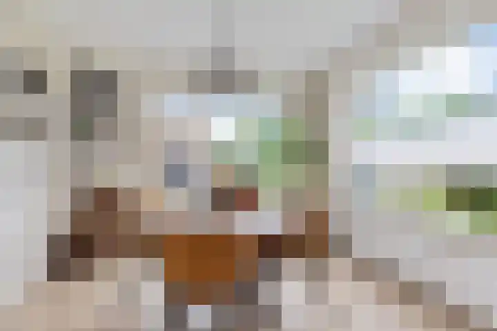Lege Leane 6 Oudemirdum thumbnail 9