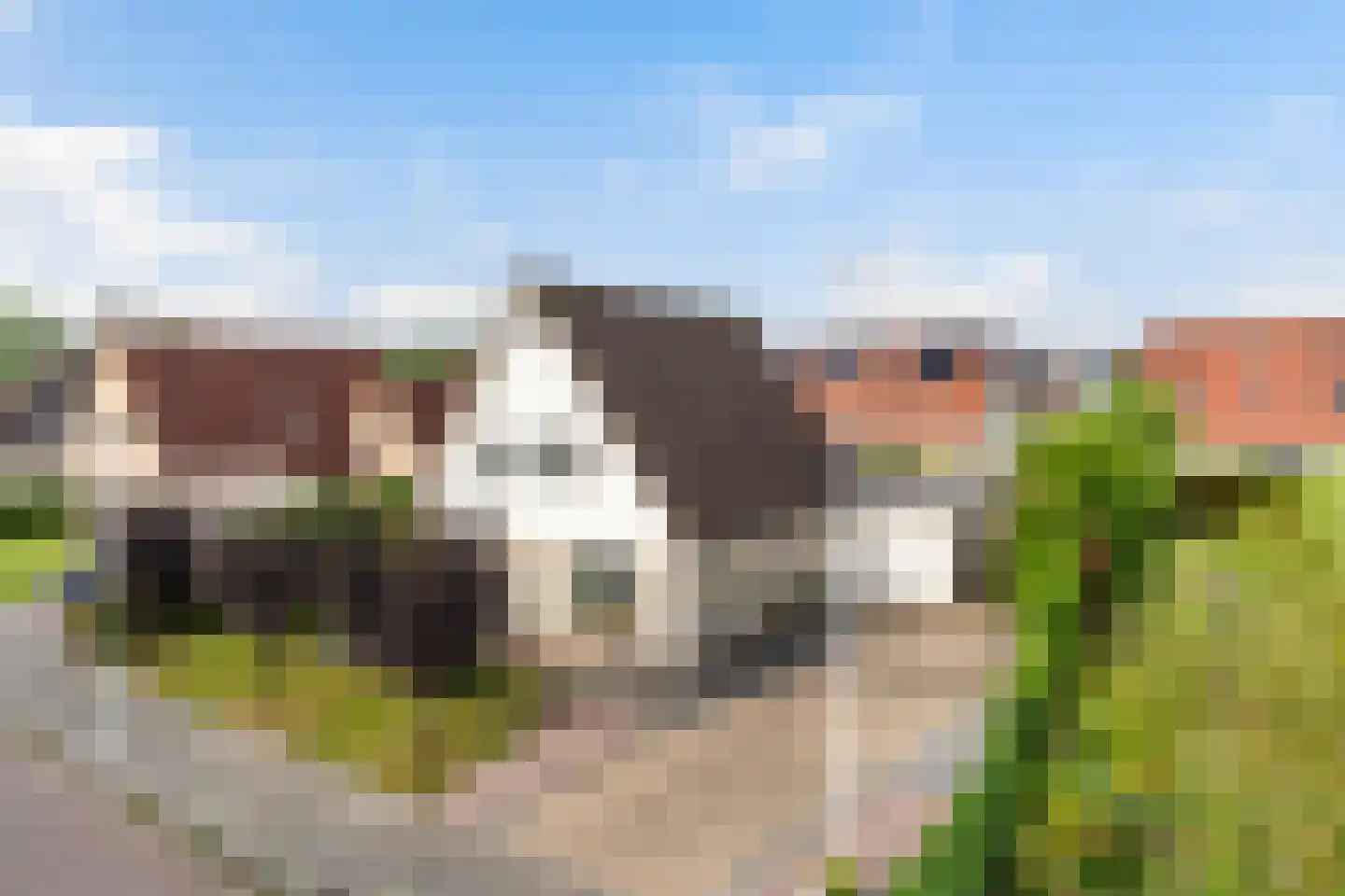 Lege Marren 5 Stiens