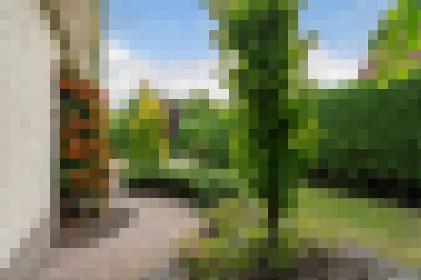Lege Marren 5 Stiens foto 3