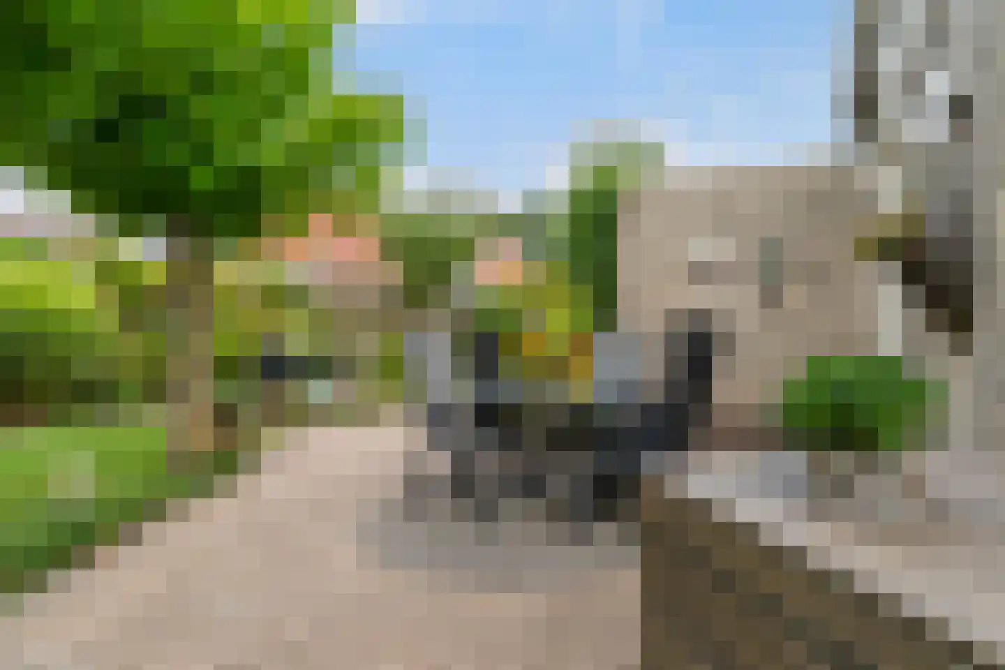 Lege Marren 5 Stiens thumbnail 33