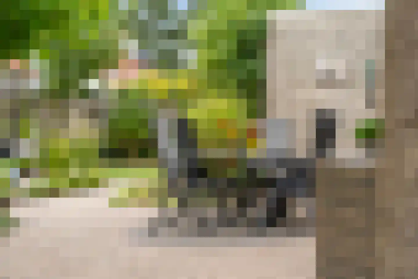 Lege Marren 5 Stiens thumbnail 35