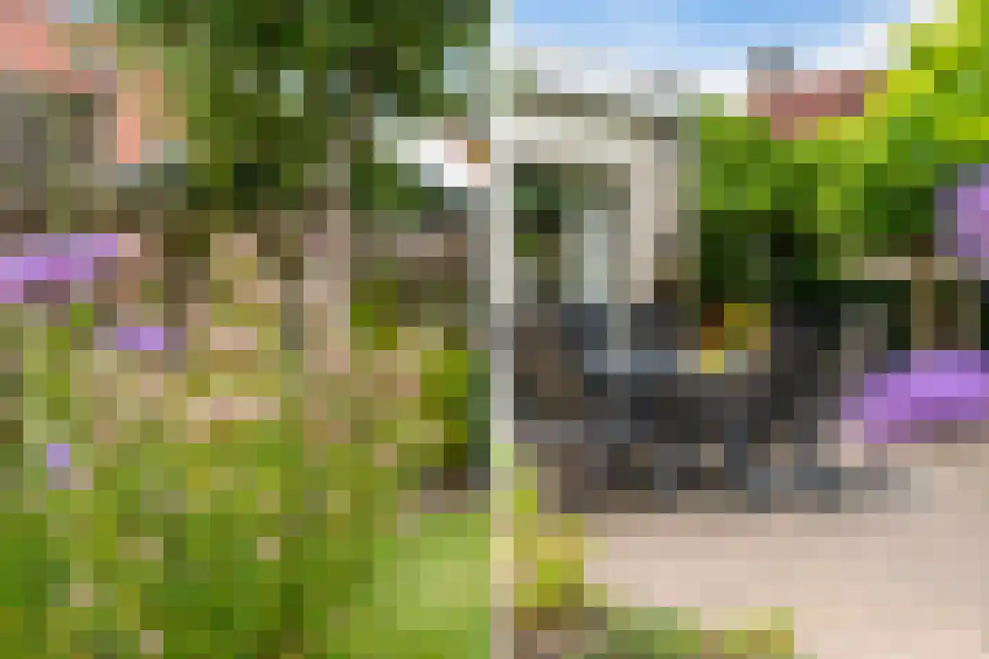 Lege Marren 5 Stiens thumbnail 36