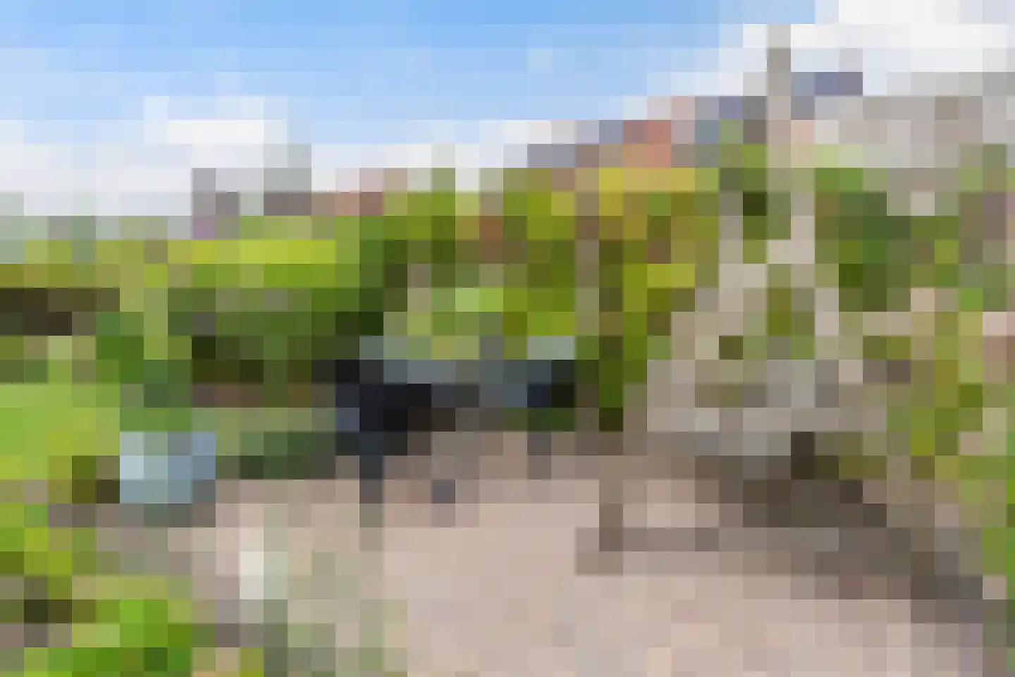 Lege Marren 5 Stiens thumbnail 40