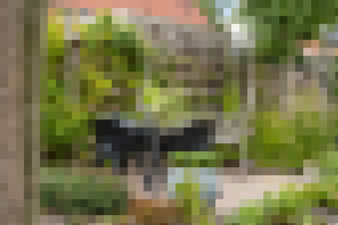 Lege Marren 5 Stiens thumbnail 41