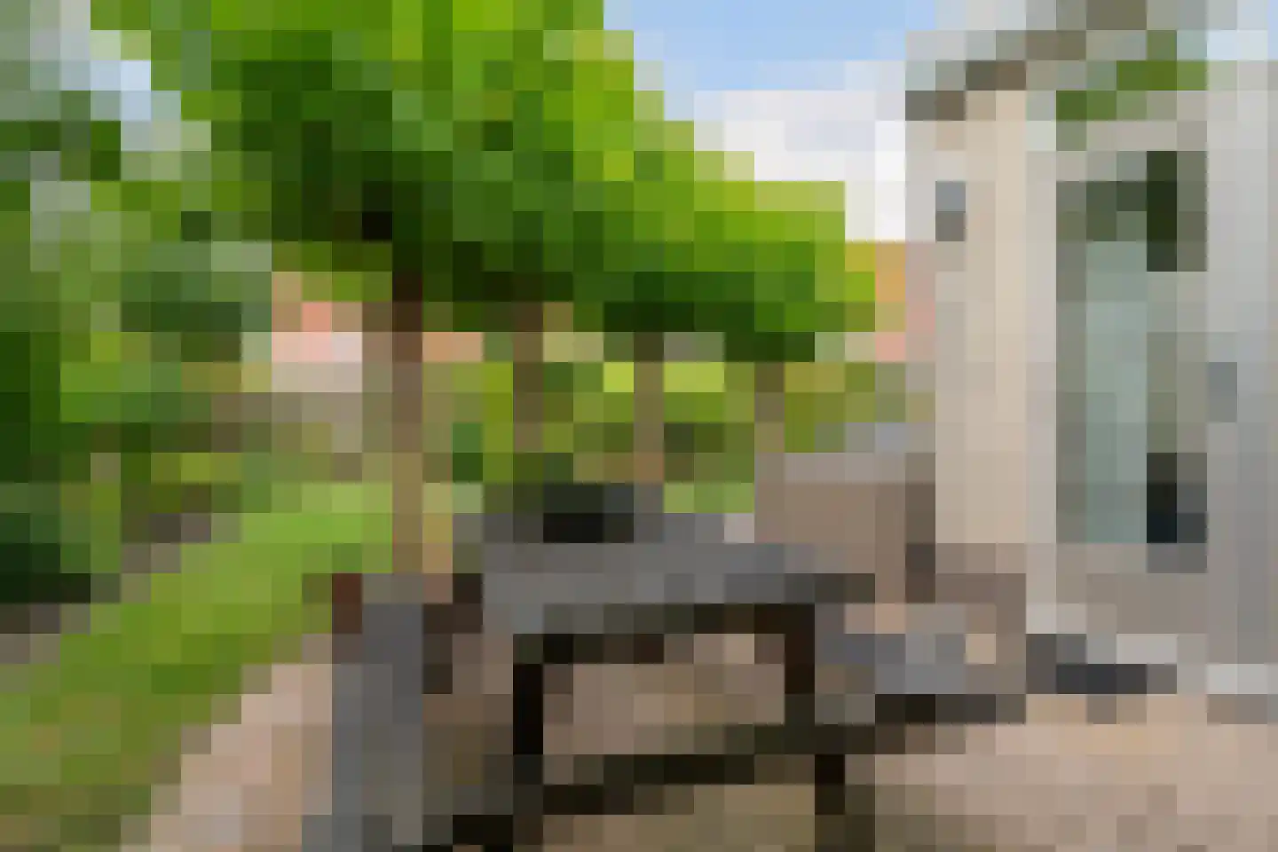 Lege Marren 5 Stiens thumbnail 42
