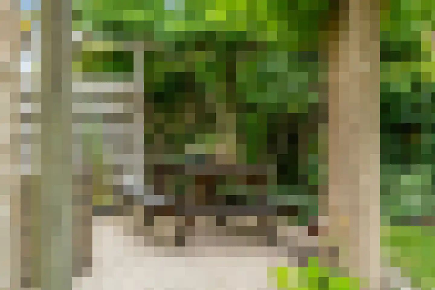 Lege Marren 5 Stiens thumbnail 43