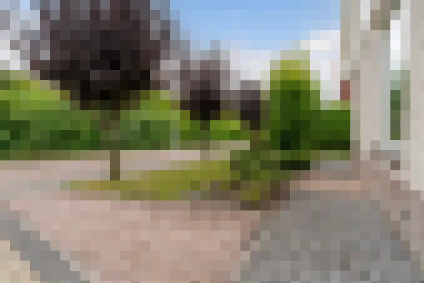 Lege Marren 5 Stiens thumbnail 44