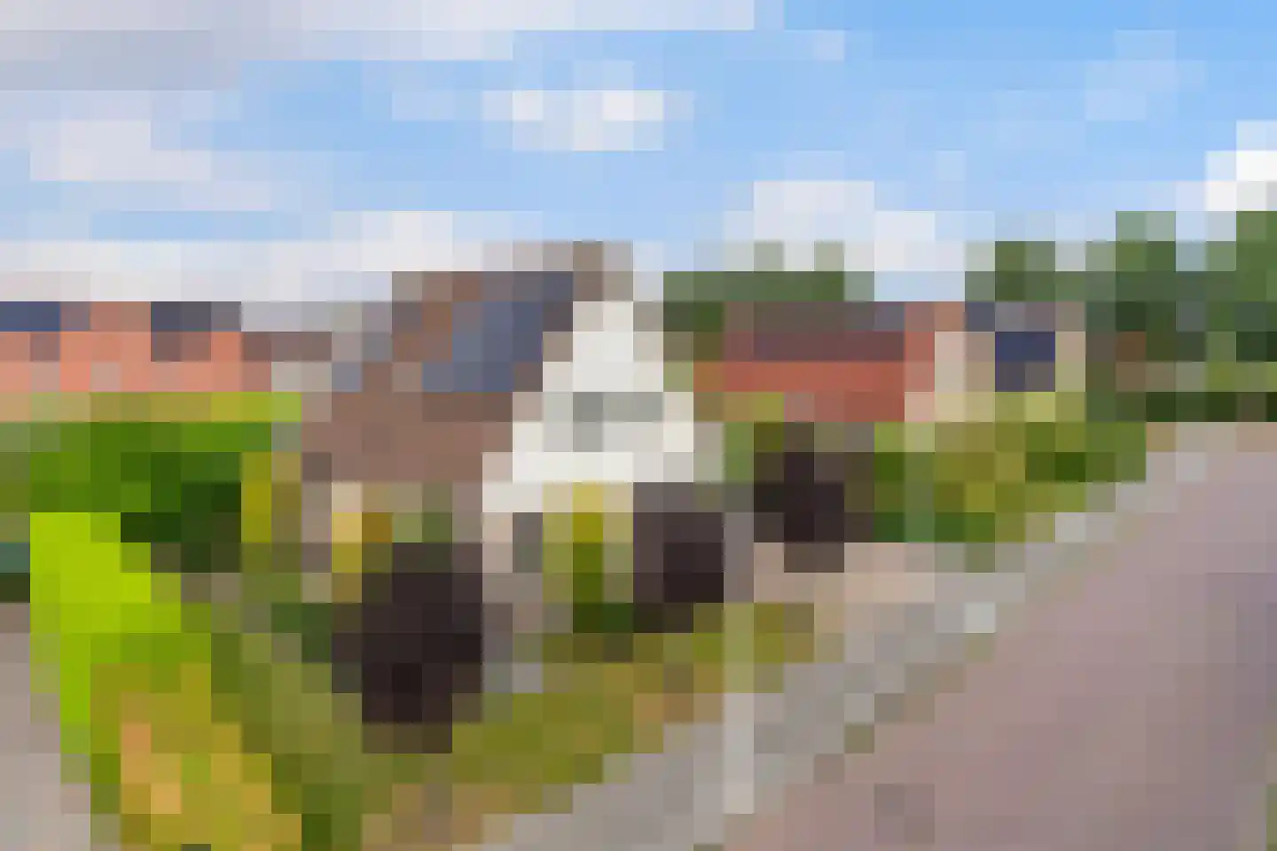 Lege Marren 5 Stiens thumbnail 49