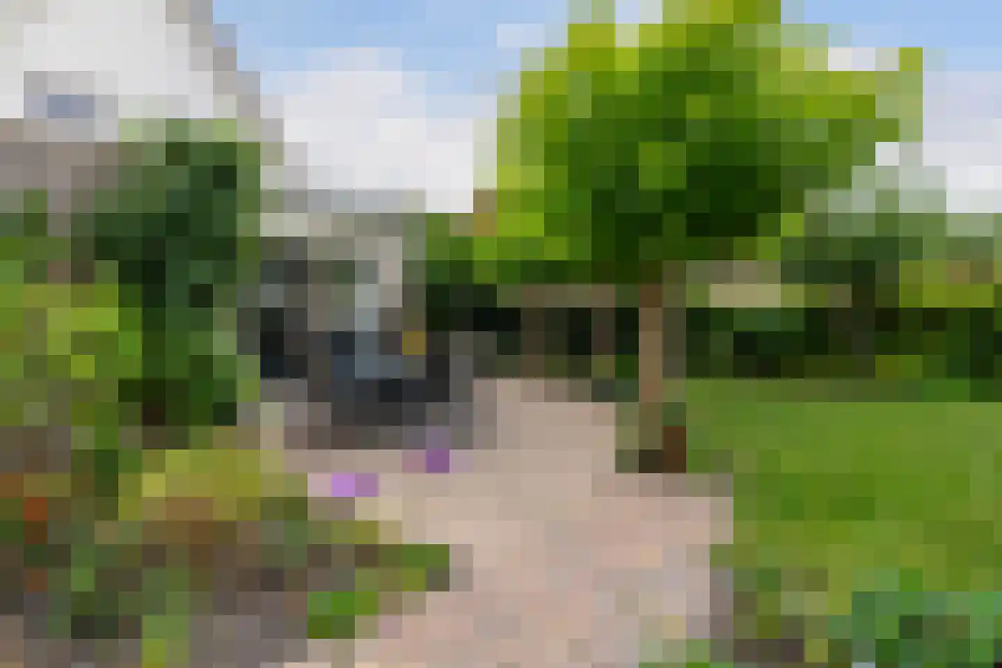 Lege Marren 5 Stiens thumbnail 5