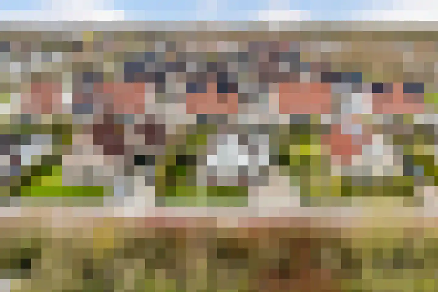 Lege Marren 5 Stiens thumbnail 50