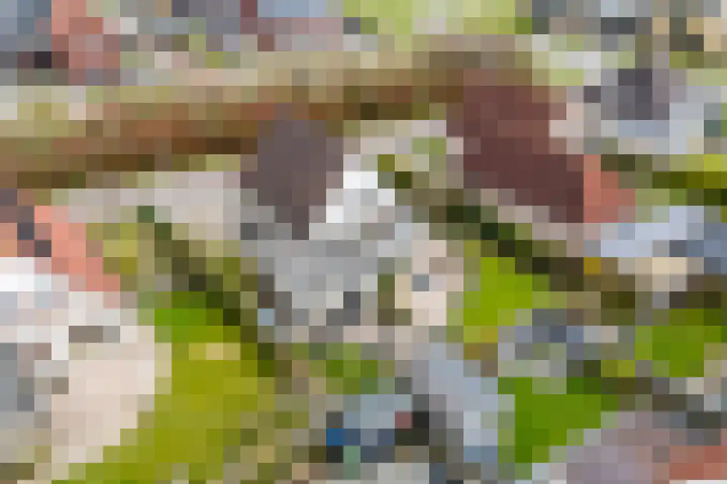 Lege Marren 5 Stiens thumbnail 51