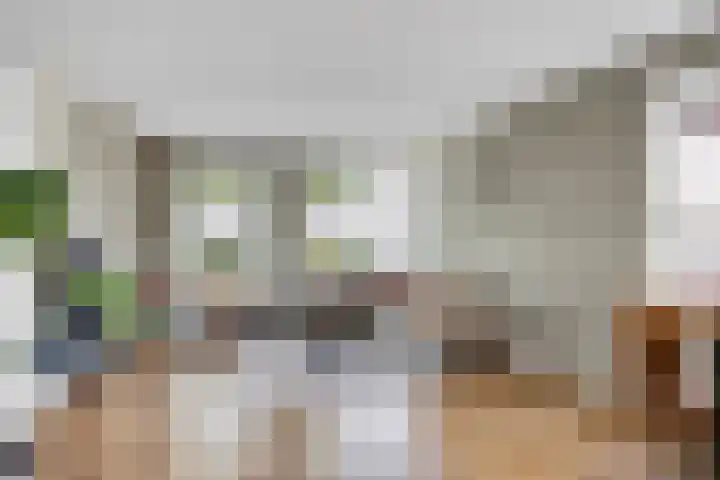 Legebuorren 97 Langweer thumbnail 11