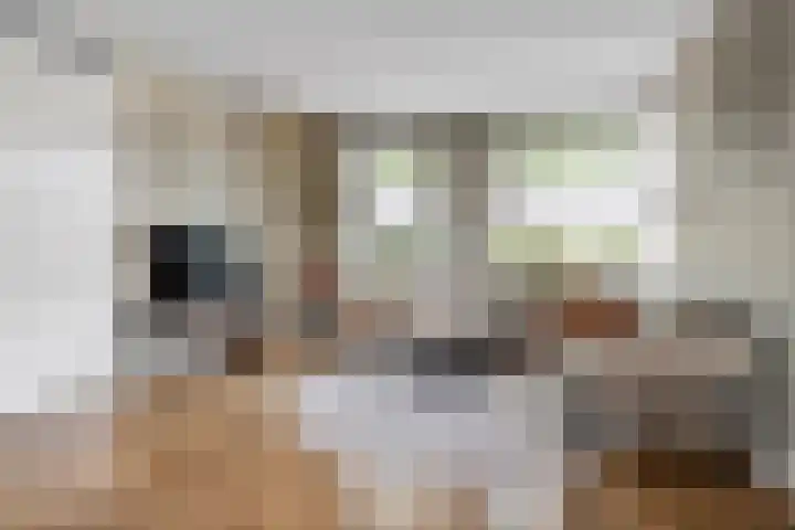 Legebuorren 97 Langweer thumbnail 12