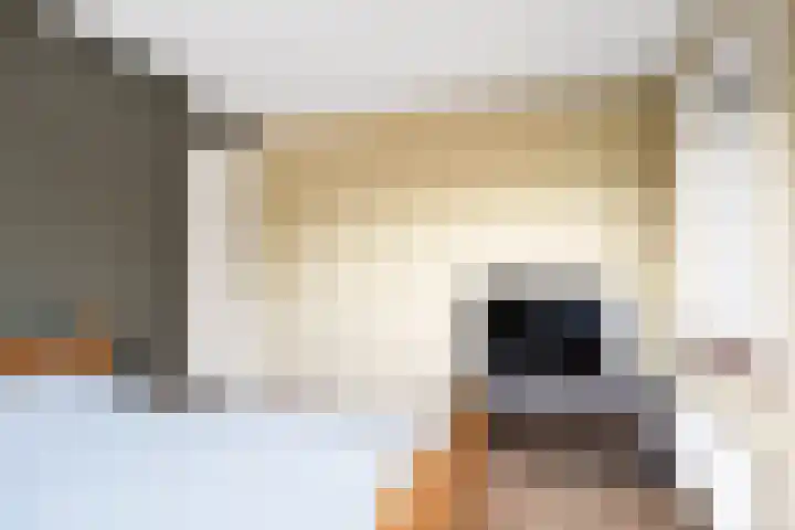 Legebuorren 97 Langweer thumbnail 24