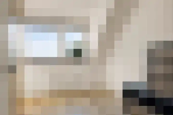Legebuorren 97 Langweer thumbnail 27