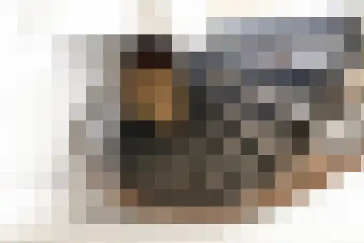 Legebuorren 97 Langweer thumbnail 33