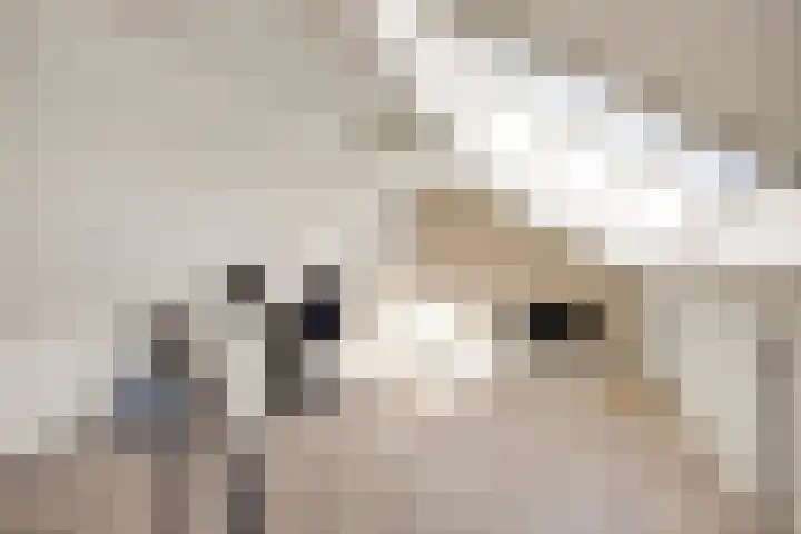Legebuorren 97 Langweer thumbnail 35