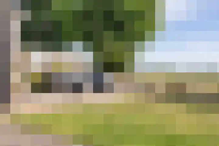 Legebuorren 97 Langweer thumbnail 38