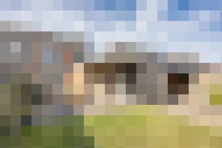 Legebuorren 97 Langweer thumbnail 39