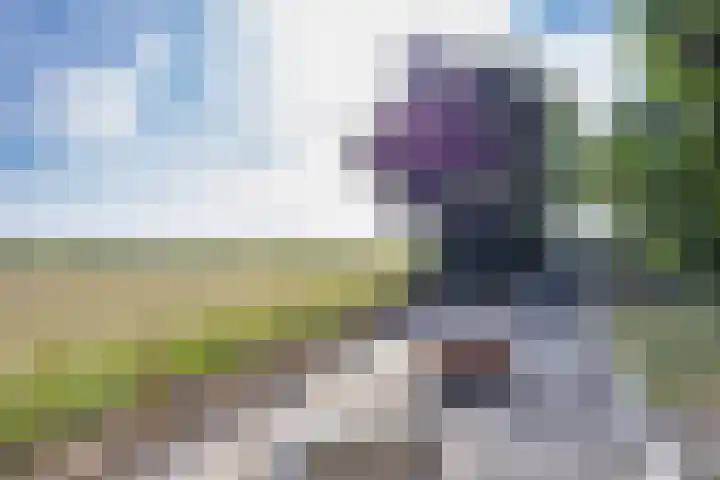 Legebuorren 97 Langweer thumbnail 41
