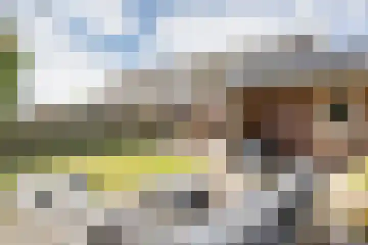 Legebuorren 97 Langweer thumbnail 42