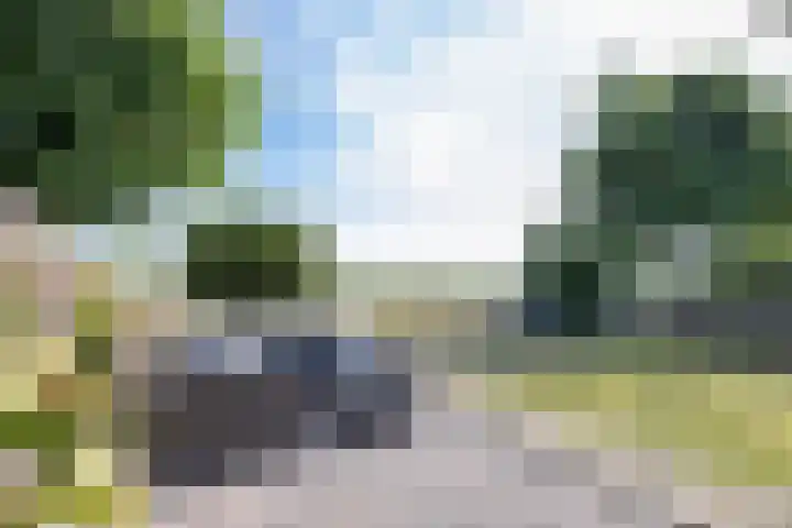 Legebuorren 97 Langweer thumbnail 43