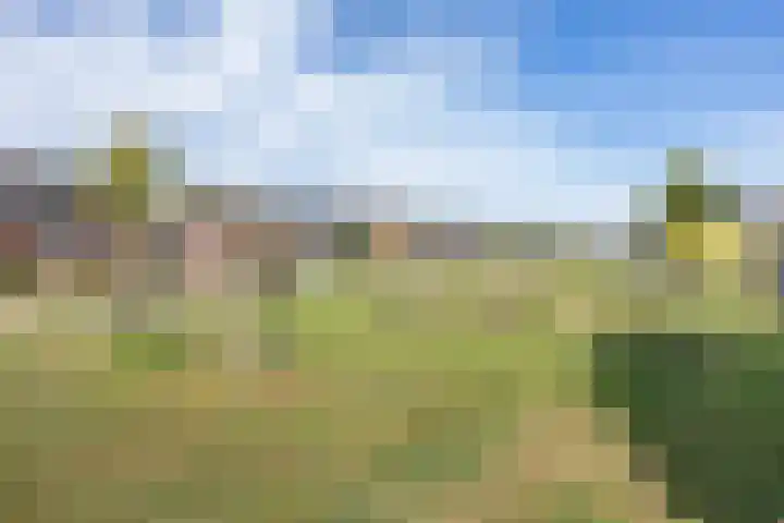 Legebuorren 97 Langweer thumbnail 45