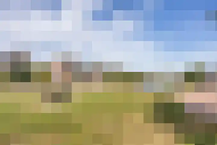 Legebuorren 97 Langweer thumbnail 46