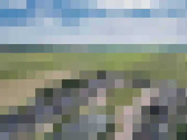 Legebuorren 97 Langweer thumbnail 48