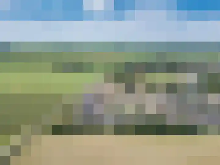 Legebuorren 97 Langweer thumbnail 50