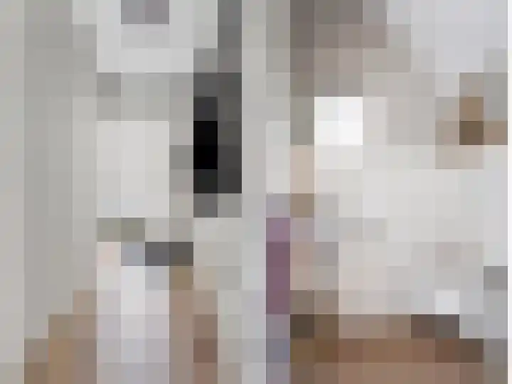 Legebuorren 97 Langweer thumbnail 9