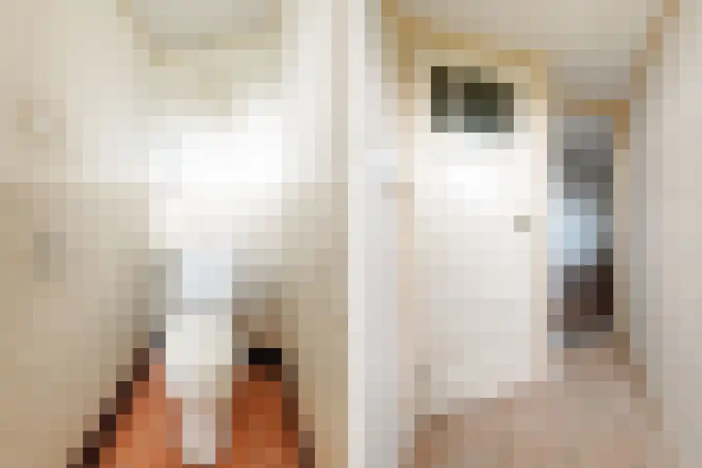 Legedyk 21 Scharnegoutum thumbnail 10