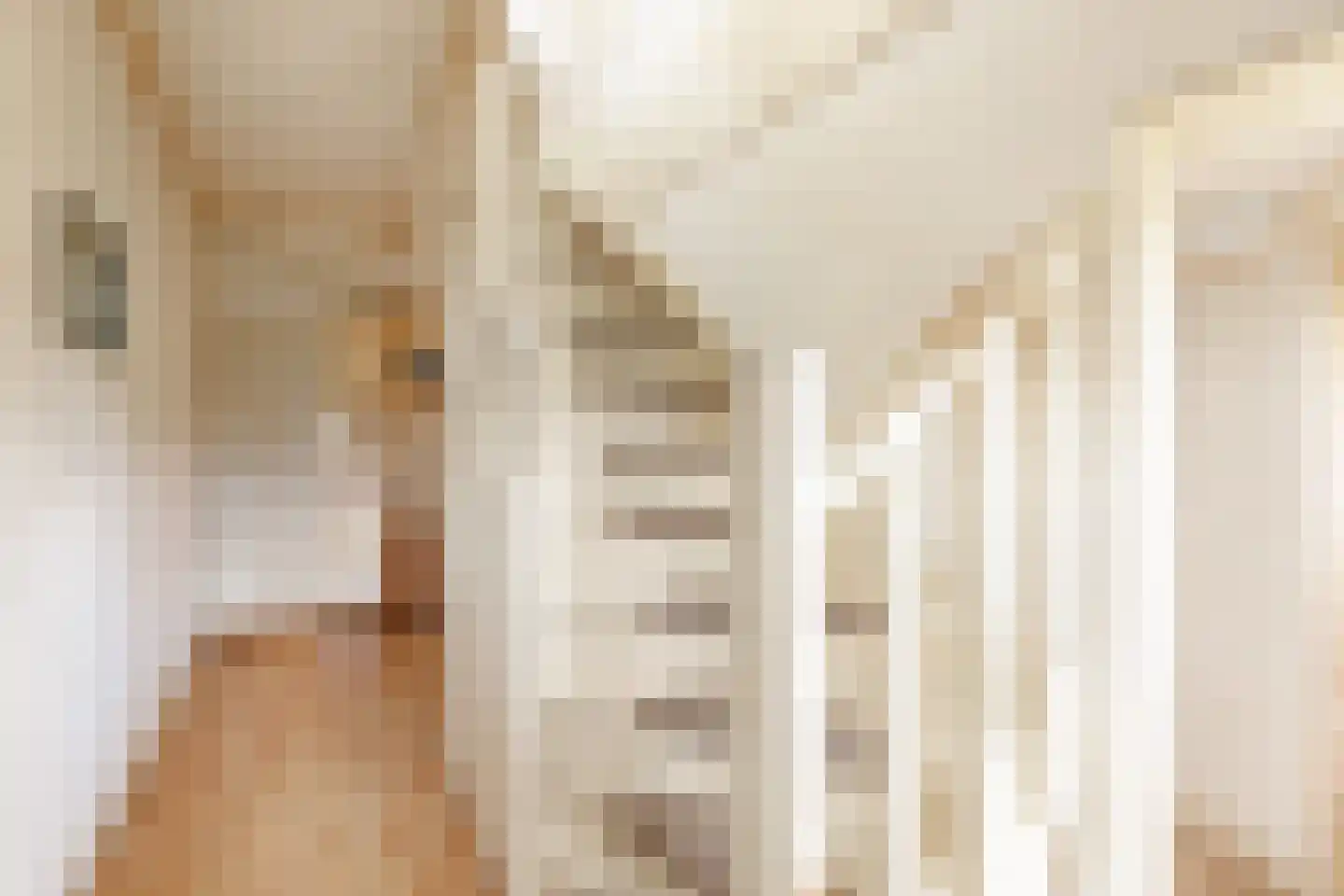 Legedyk 21 Scharnegoutum thumbnail 11