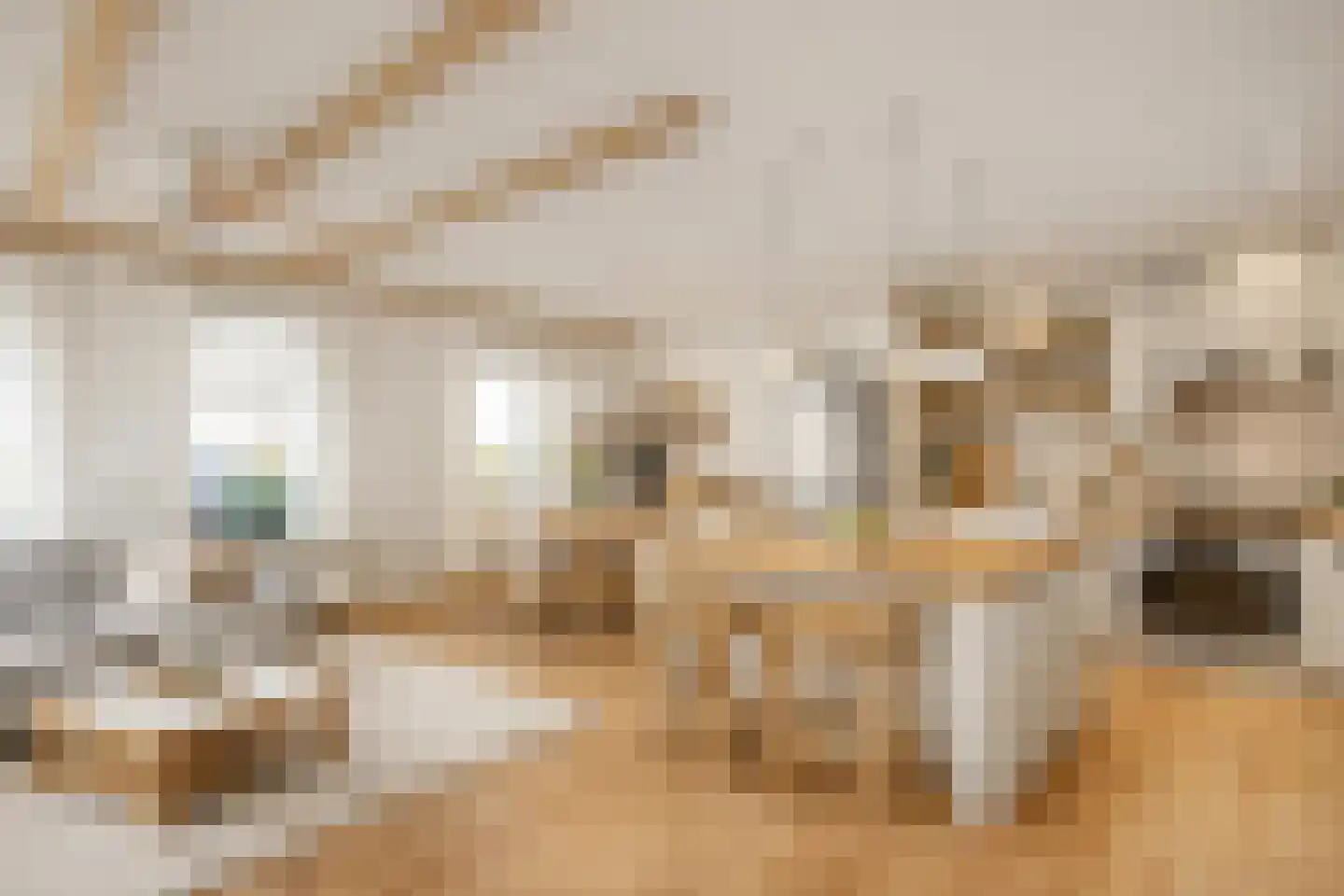 Legedyk 21 Scharnegoutum thumbnail 13