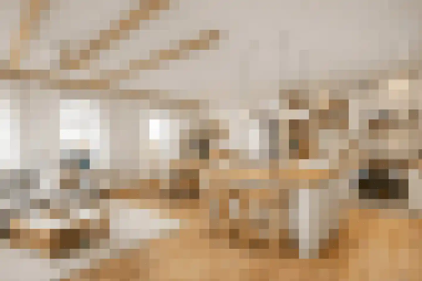 Legedyk 21 Scharnegoutum thumbnail 13