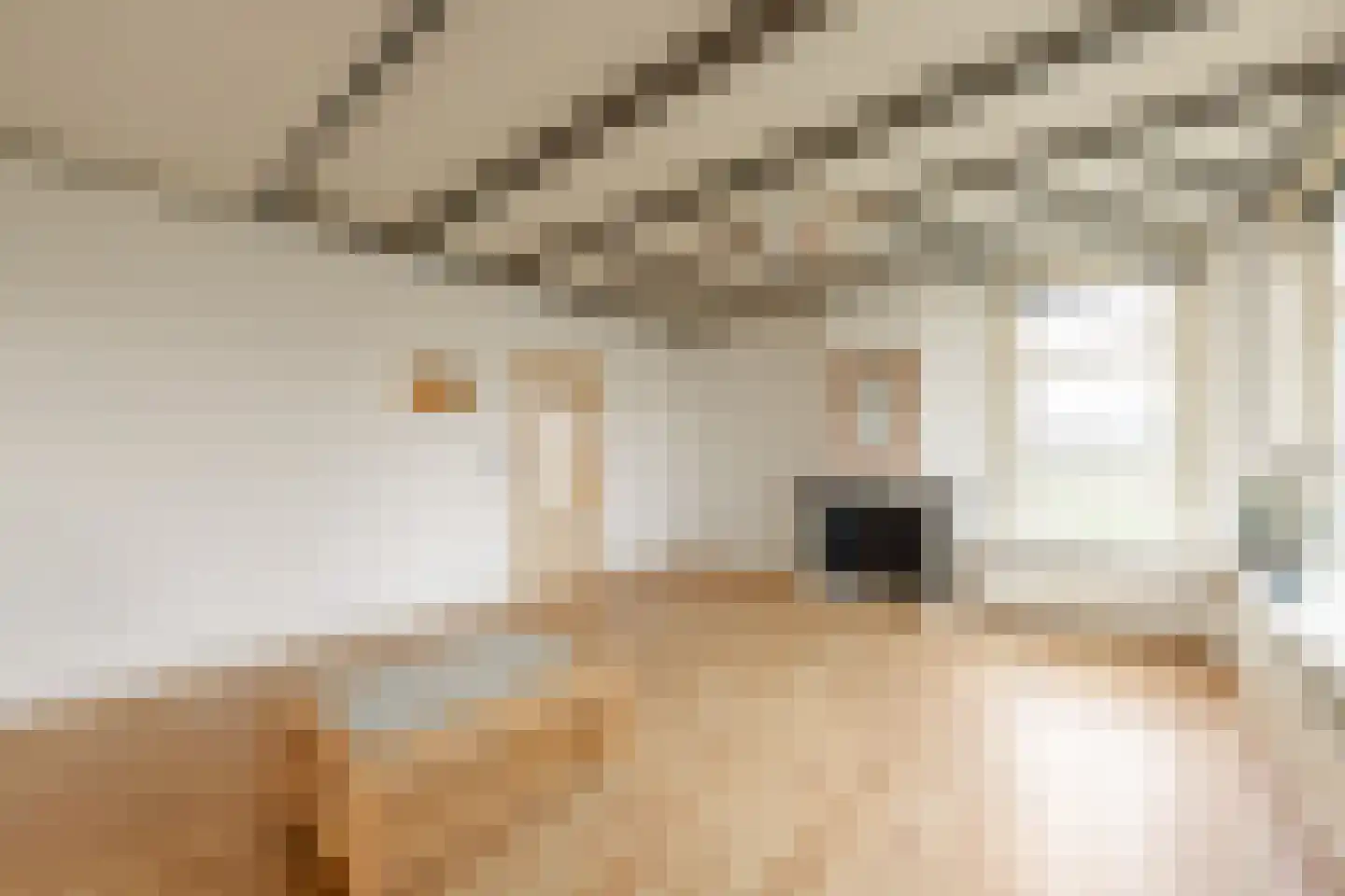 Legedyk 21 Scharnegoutum thumbnail 14