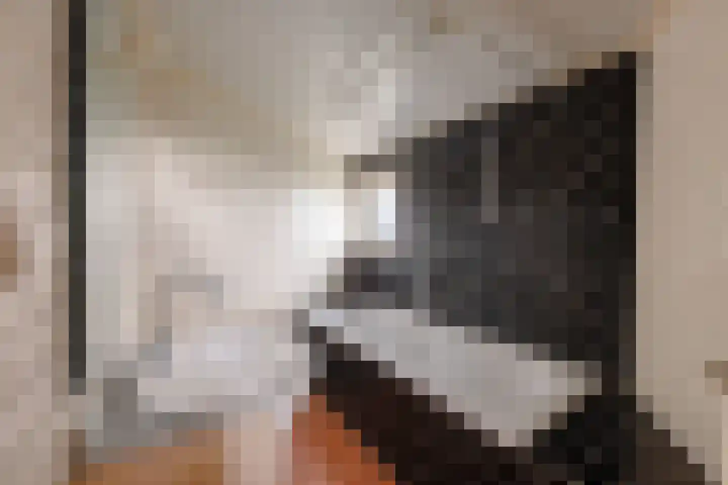 Legedyk 21 Scharnegoutum thumbnail 19