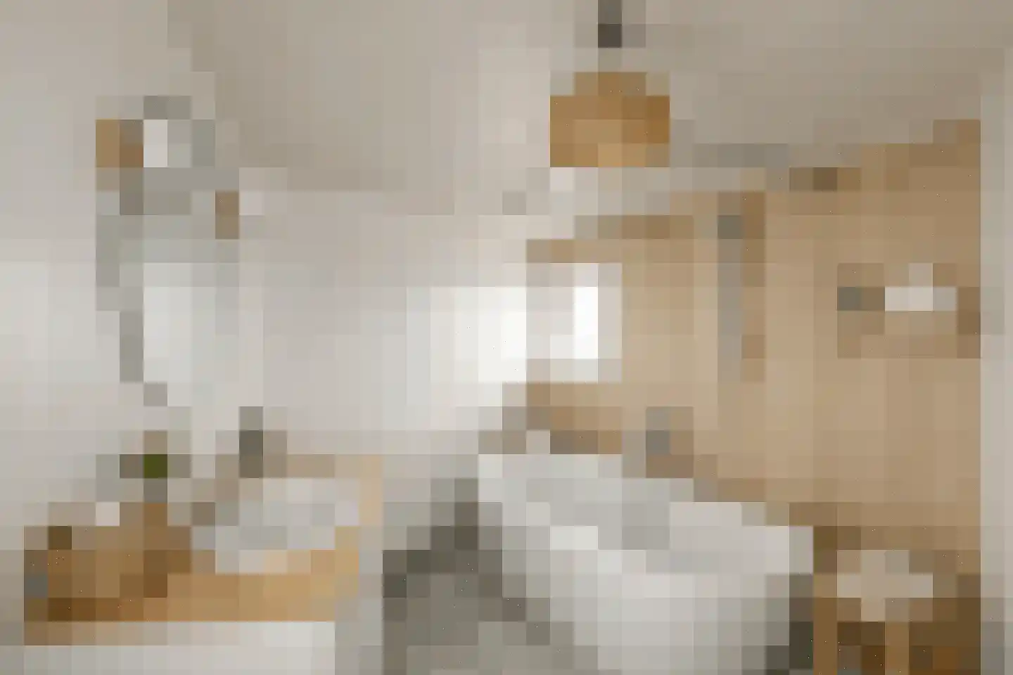 Legedyk 21 Scharnegoutum thumbnail 20