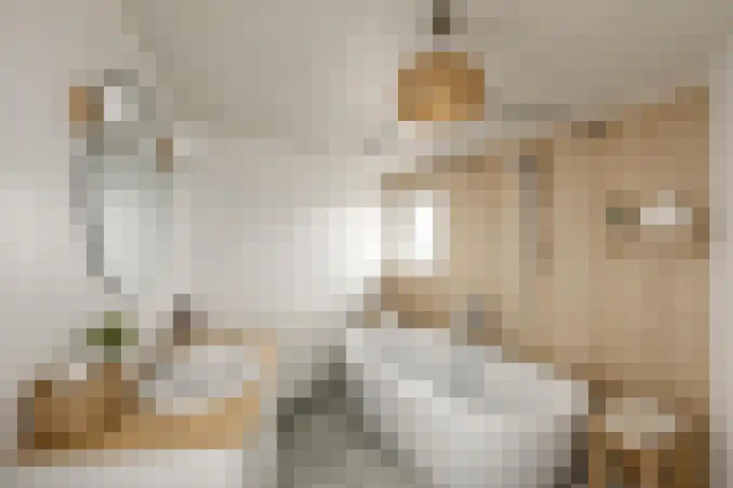 Legedyk 21 Scharnegoutum thumbnail 20