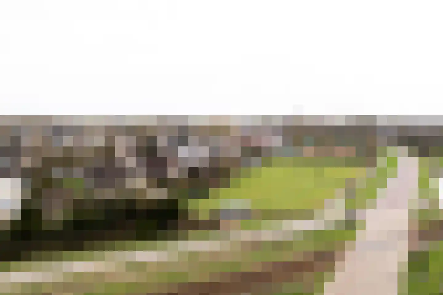 Legedyk 21 Scharnegoutum thumbnail 28