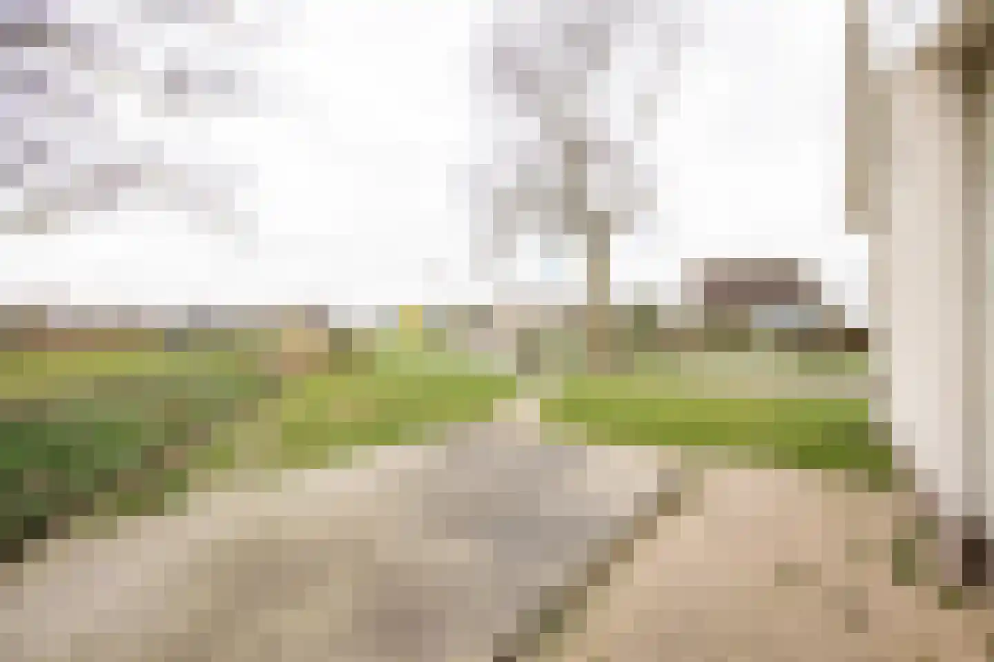 Legedyk 21 Scharnegoutum thumbnail 8