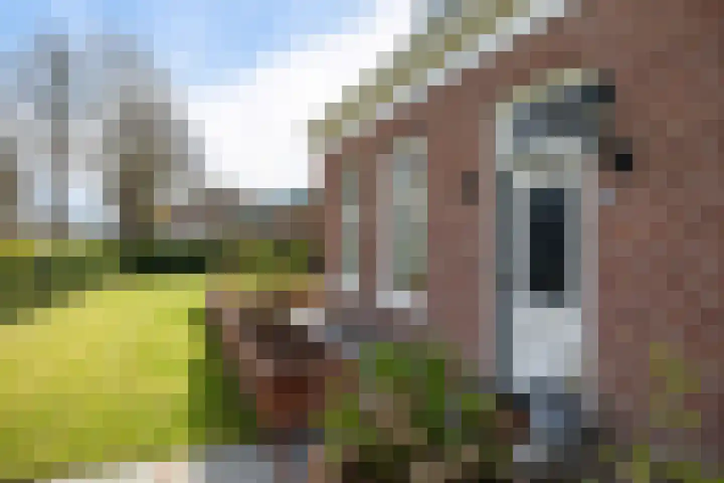 Legedyk 28 Scharnegoutum thumbnail 13