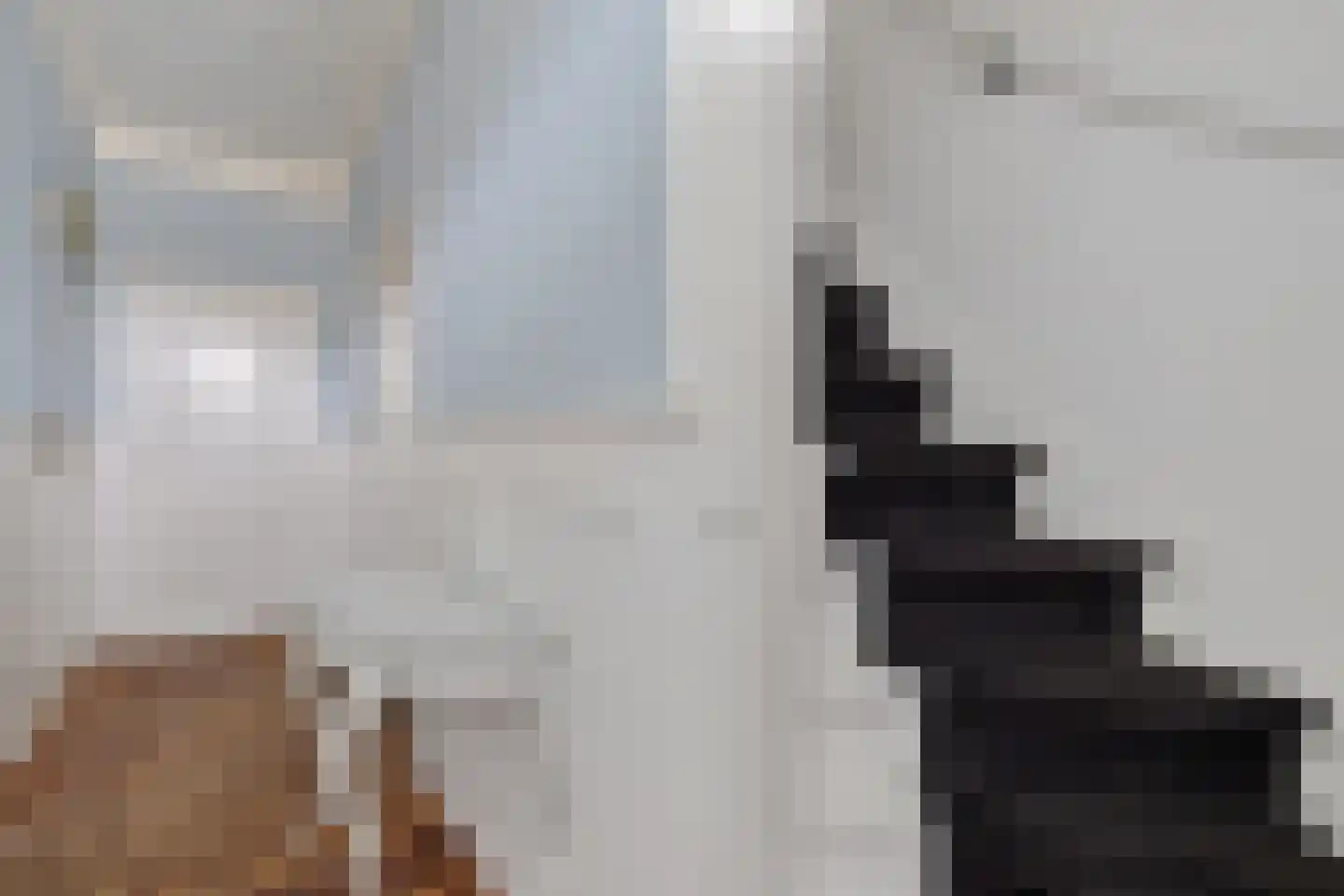 Legedyk 28 Scharnegoutum thumbnail 19